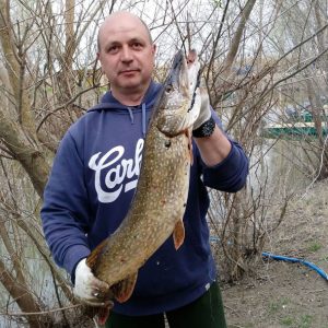 Трофейная рыбалка на щуку, весной. Чецкий Алексей щука 4,7кг