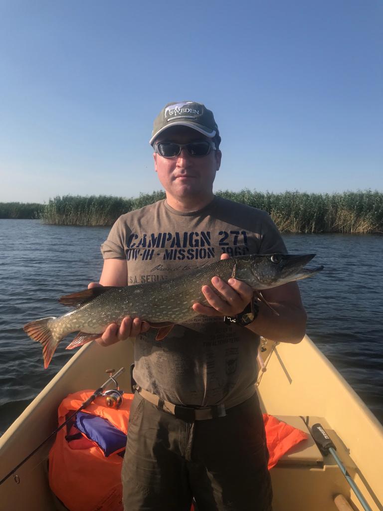Рыбалка на щуку,  июль 2019, база Остров Колочный