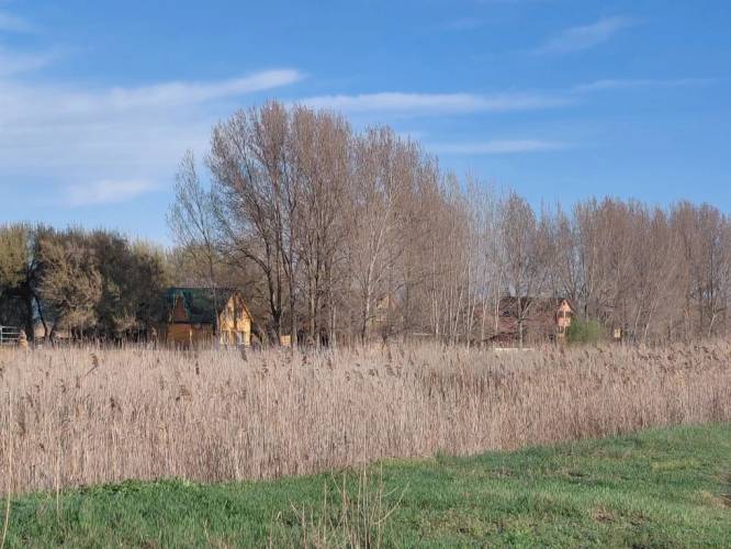 Остров Колочный база в Астраханской области