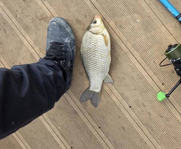 рыбалка в Астрахани в апреле Остров Колочный